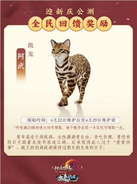 天龙八部3私服卡